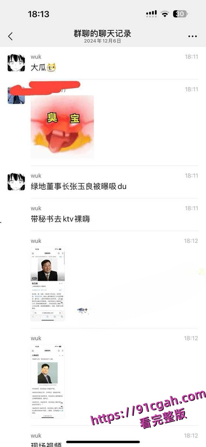 上海绿地集团董事长总裁张玉良性丑闻 张玉良吸毒 带女秘书去KTV裸嗨!-9