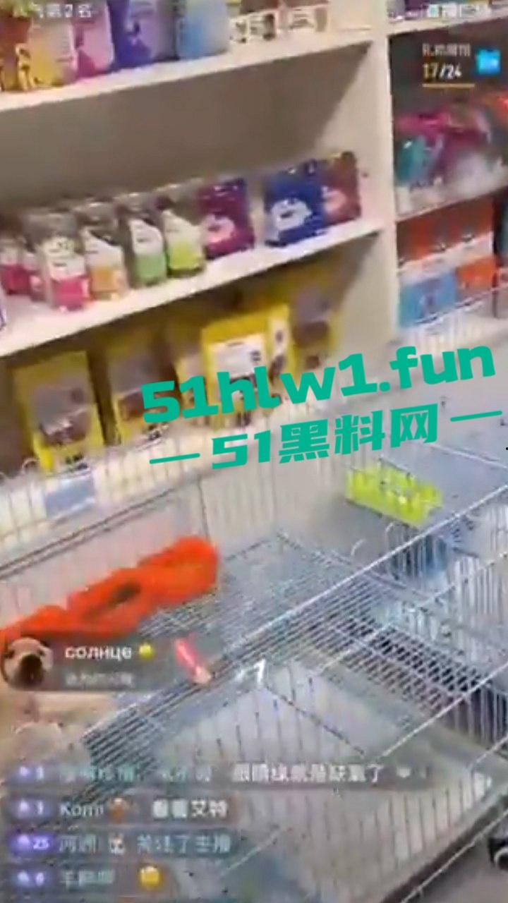 网红狗艾特疑遭训狗师【潘宏】虐待致死，女明星陈乔恩蹭热点带节奏被网友骂上热搜。-4