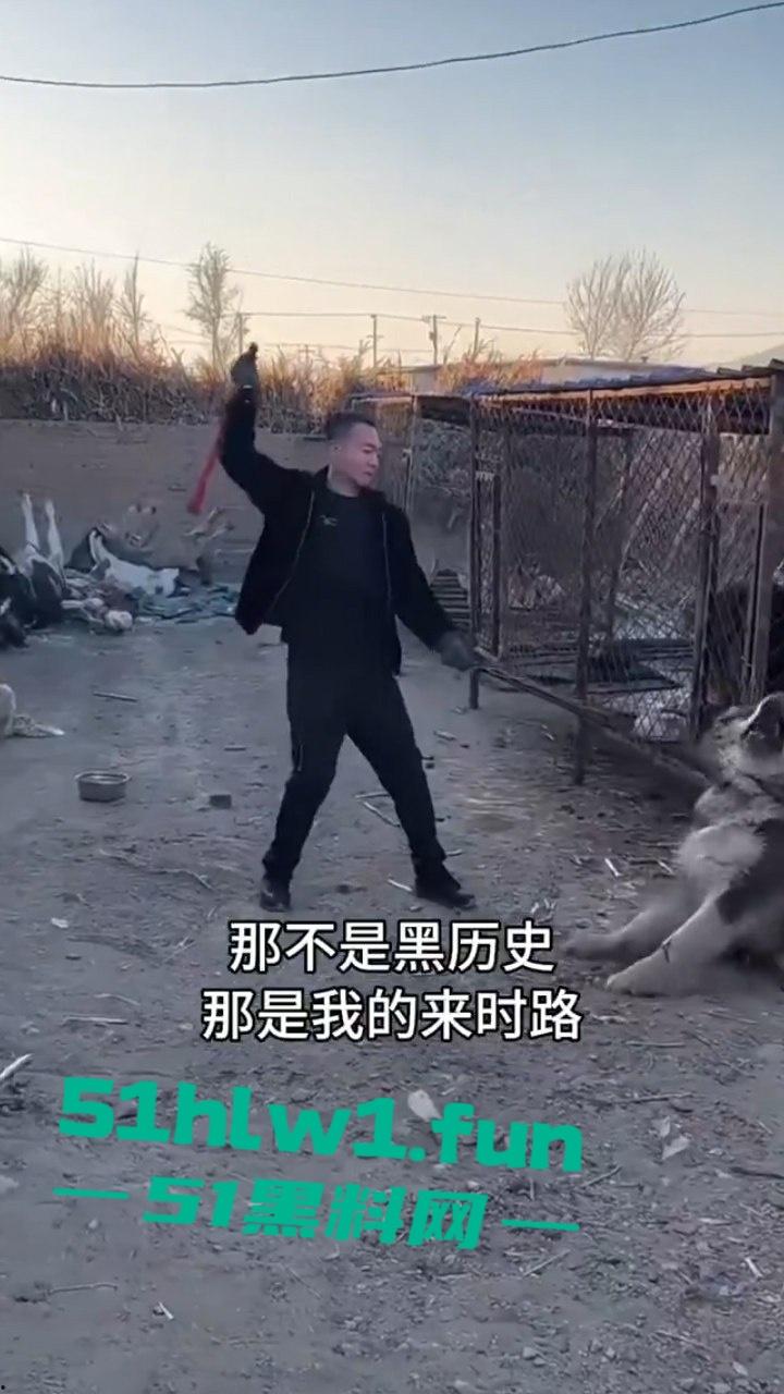 网红狗艾特疑遭训狗师【潘宏】虐待致死，女明星陈乔恩蹭热点带节奏被网友骂上热搜。-9