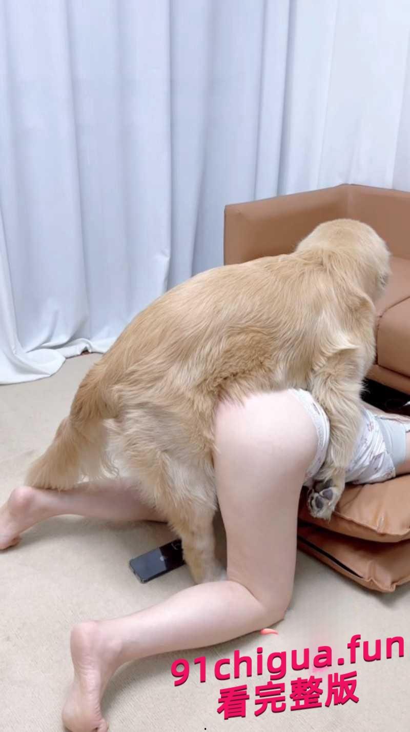 抖音香香公主与金毛性爱完整版 顺便给小仙女们科普兽交注意事项-4