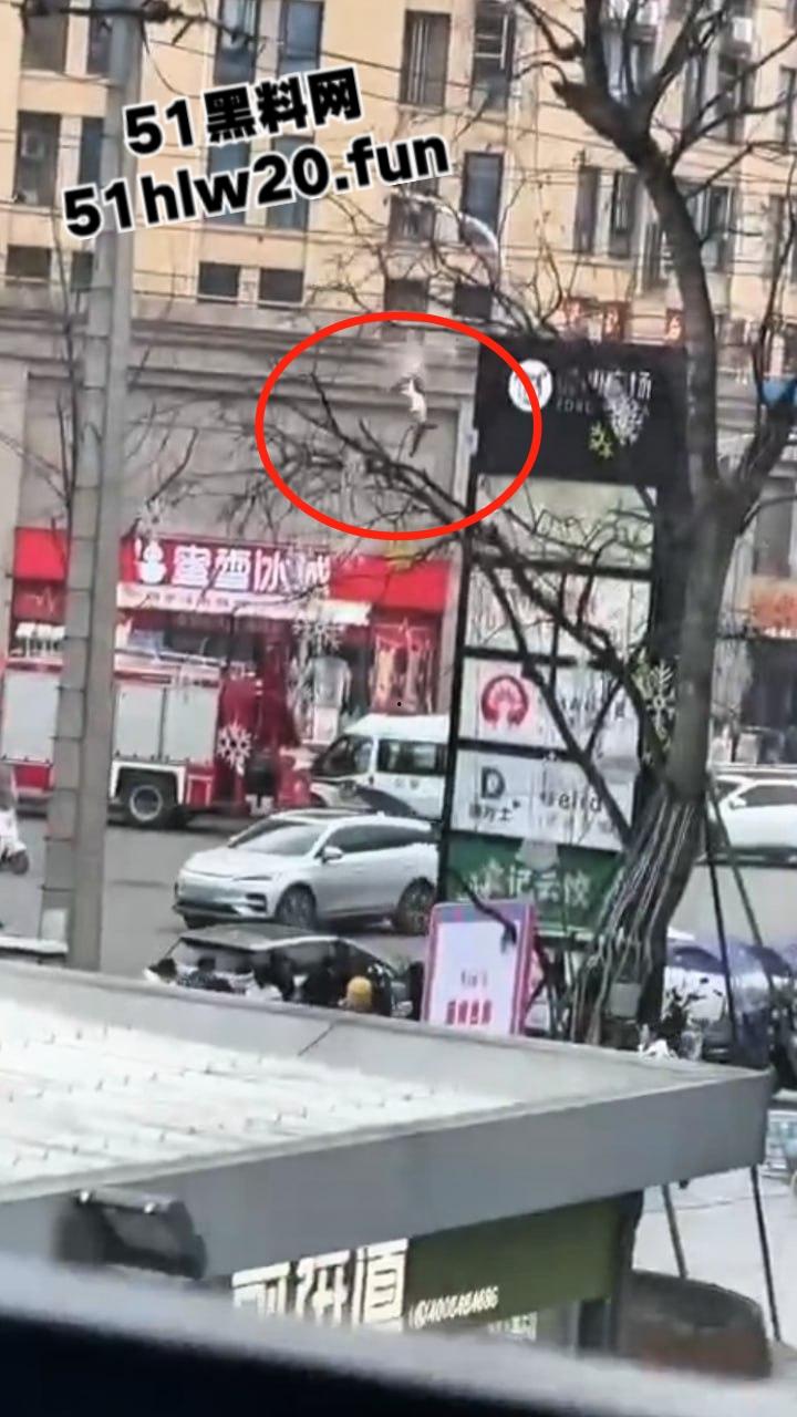 自杀跳楼实拍，辽宁十几岁女孩因谈恋爱被家人阻止，被家人囚禁在家中，女孩逃出窗外跳楼自杀。-1