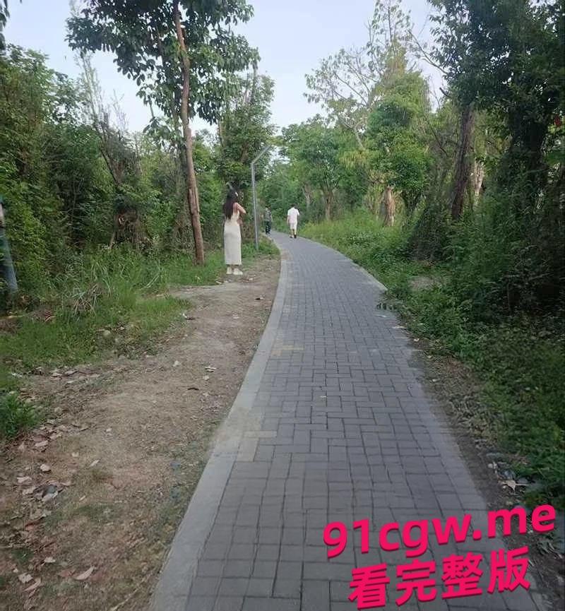 成都“大久保公园”大量站街女！100一次妹妹陪你钻小树林，避孕套堆成山-6